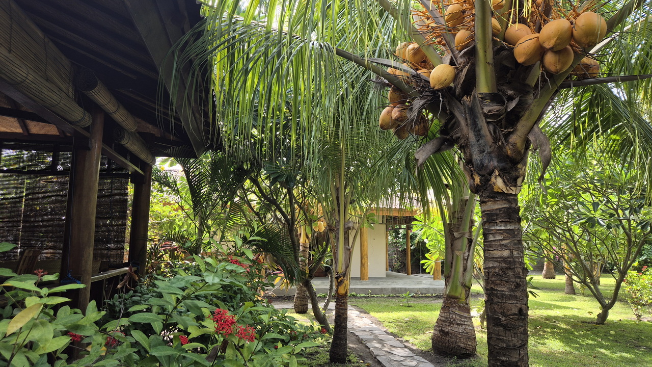 Waiara Village G&auml;stehaus auf Flores in Indonesien - Tropischer Garten un Strand (Maumere Bay)