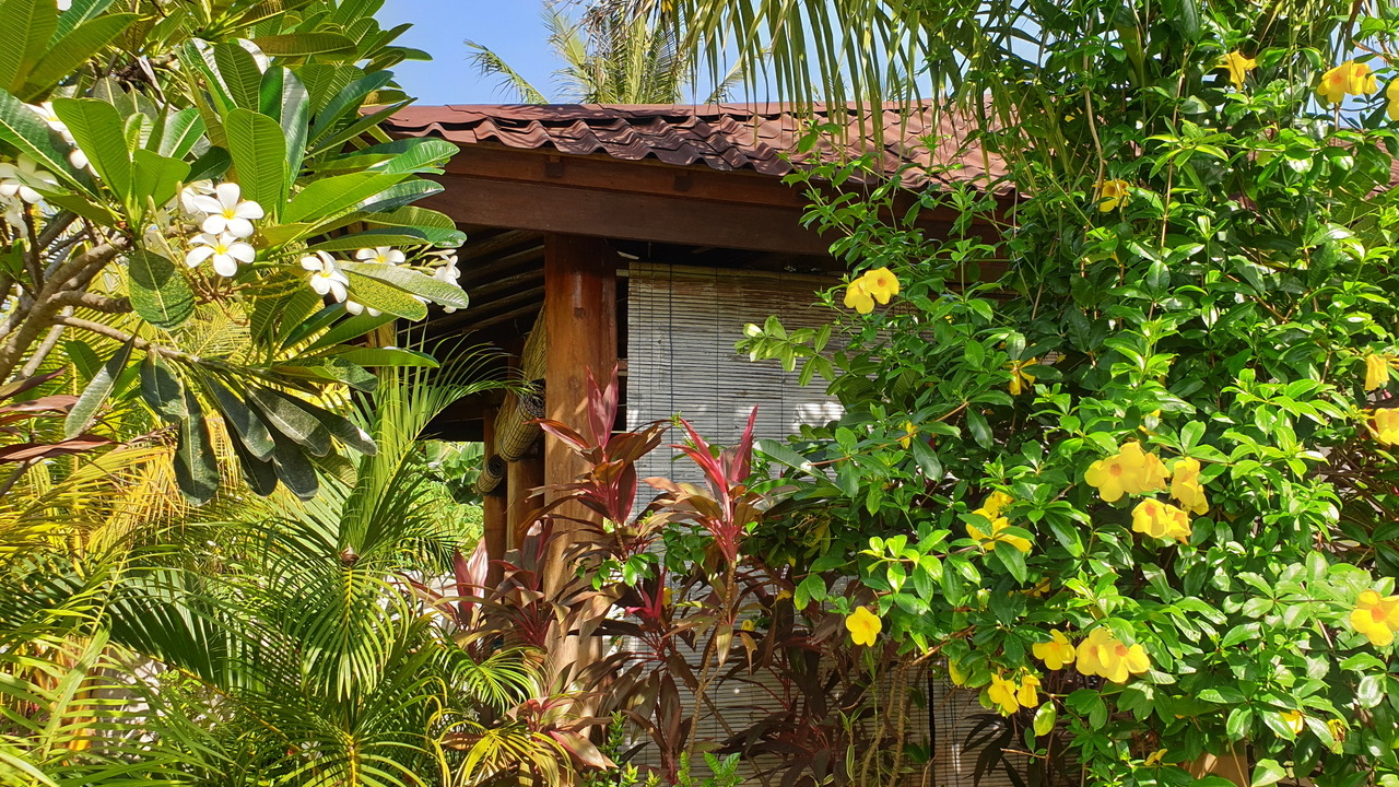 Surrounded by tropical garden - close to Waiara beach - Guesthouse in Maumere - affordable alternative to hotel