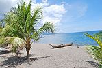 Villa, Strandvilla, Interior, Beach Villa Strand von Waiara, Maumere, Insel Flores, Indonesien, Internet